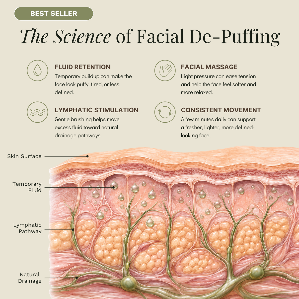 Lymphatic De-Puffing Brush